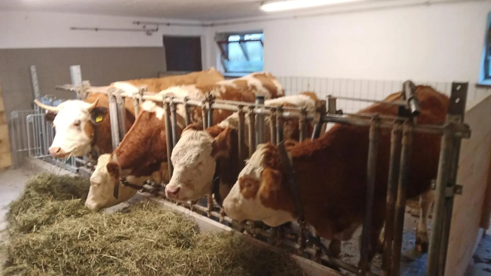 Wohnung In Unterschoenau Mit Grill Schönau am Königssee